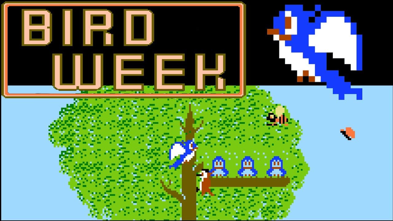 Bird Week trailer thumbnail