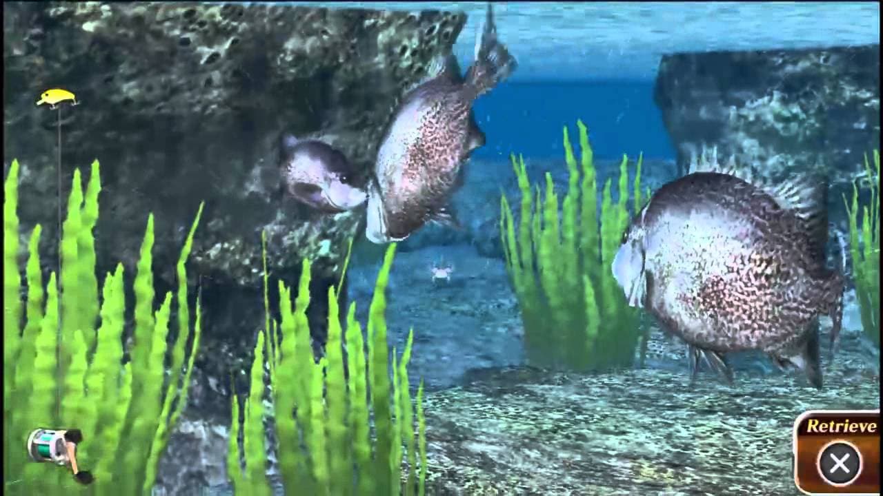 Reel Fishing: Master's Challenge trailer thumbnail