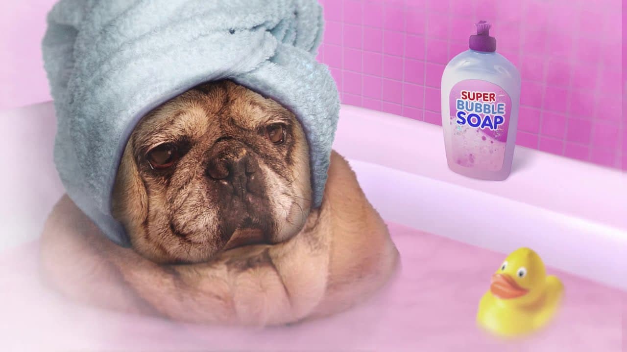 The Jackbox Party Pack 6 trailer thumbnail