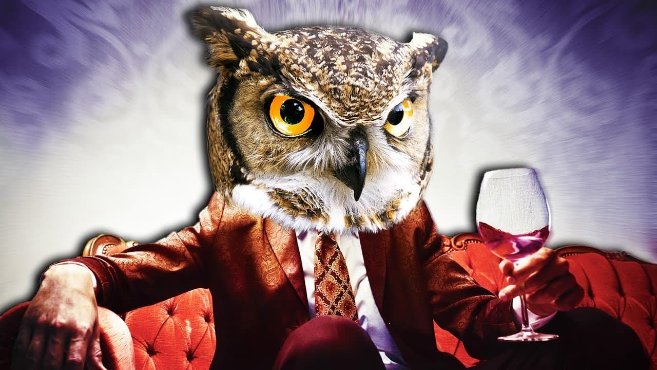 Dinner with an Owl trailer thumbnail