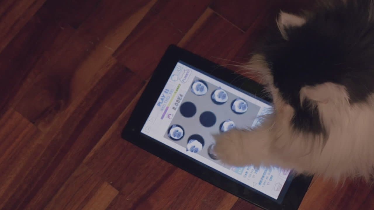 Play Kittens trailer thumbnail