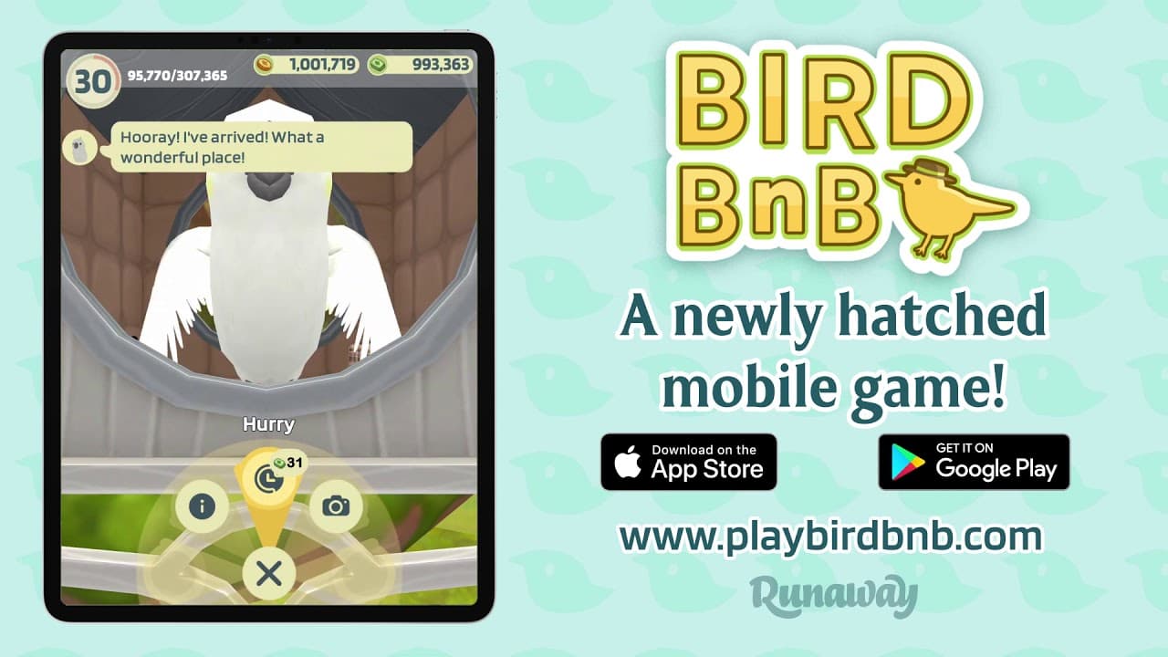 Bird BnB trailer thumbnail