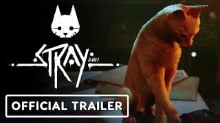 Trailer thumbnail