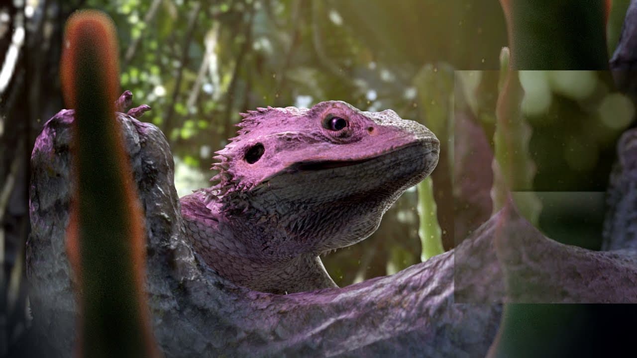 Digital Terrarium: Pogona Virtual Pet trailer thumbnail