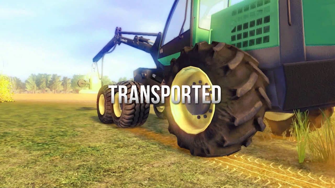 Professional Lumberjack 2015 trailer thumbnail