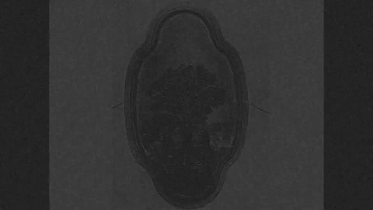 Emerald Wasp trailer thumbnail