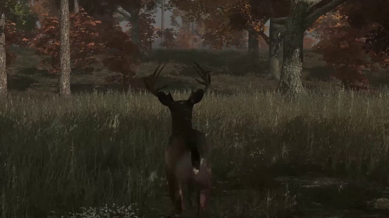 Deer Simulator trailer thumbnail