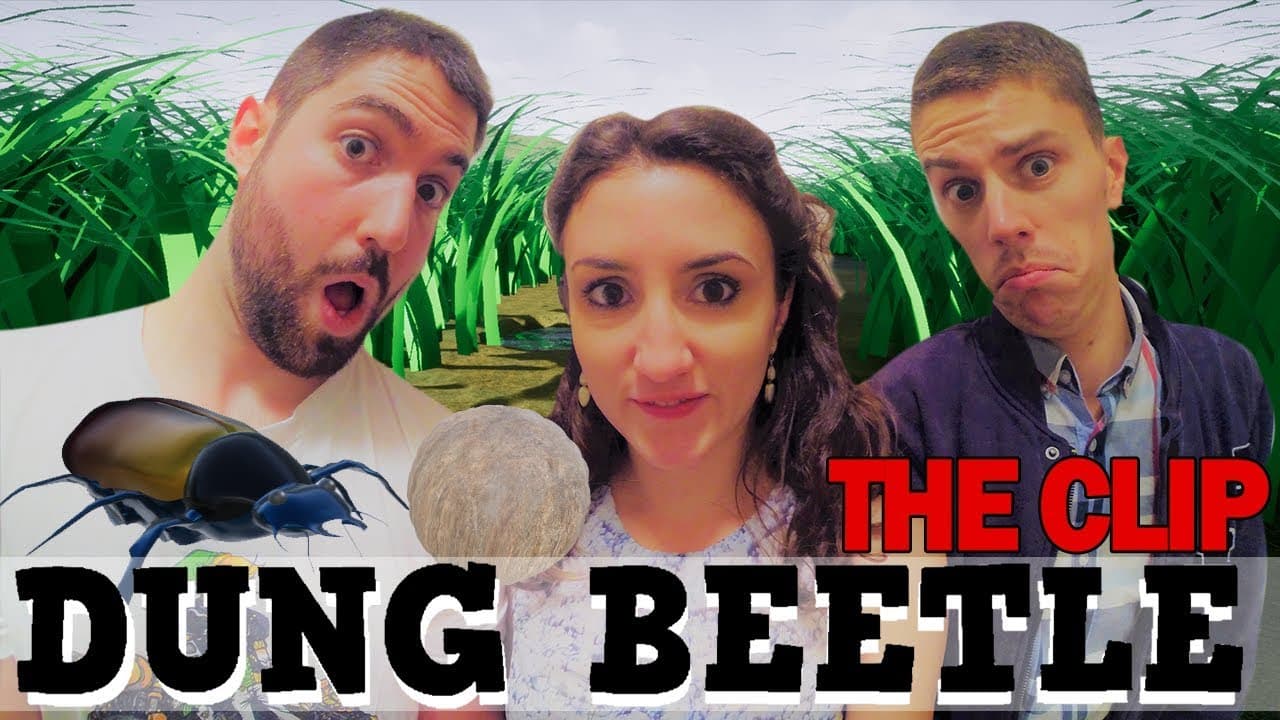 Dung Beetle trailer thumbnail