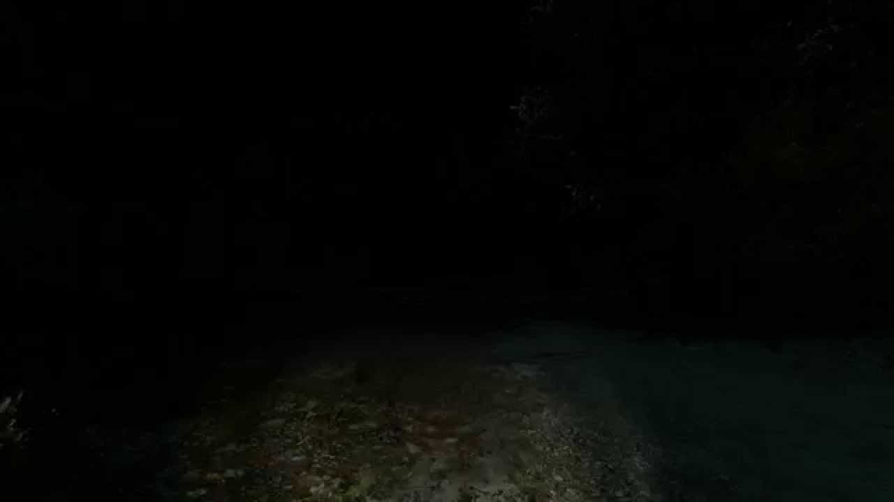 Passing Pineview Forest trailer thumbnail