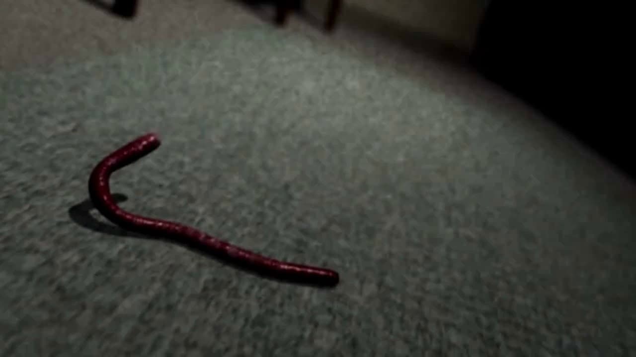 Decay: The Mare trailer thumbnail