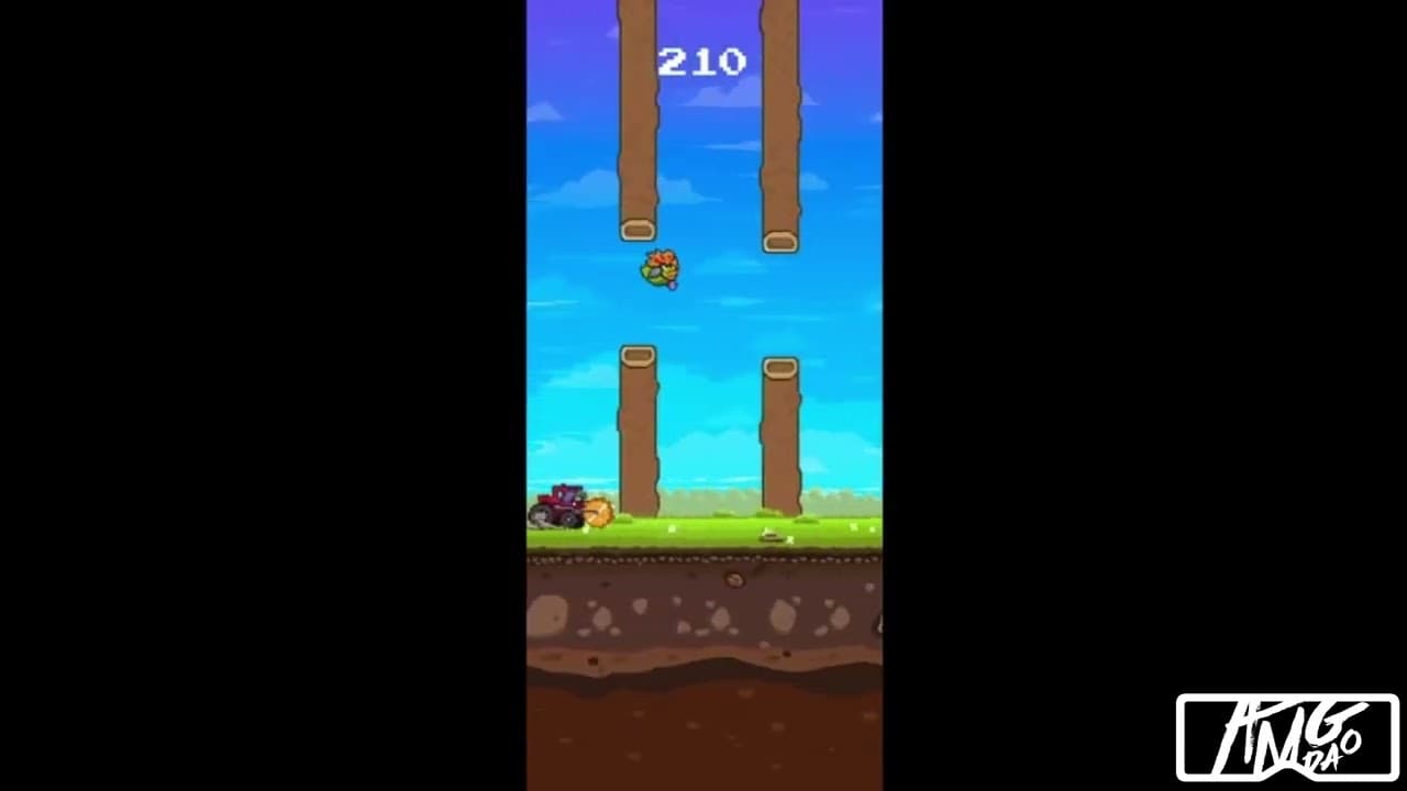 Fancy Birds trailer thumbnail