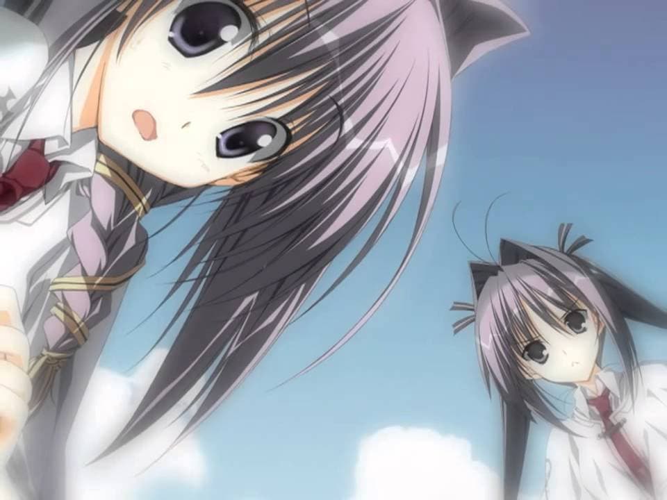 Wonderful Everyday: Down the Rabbit-Hole trailer thumbnail