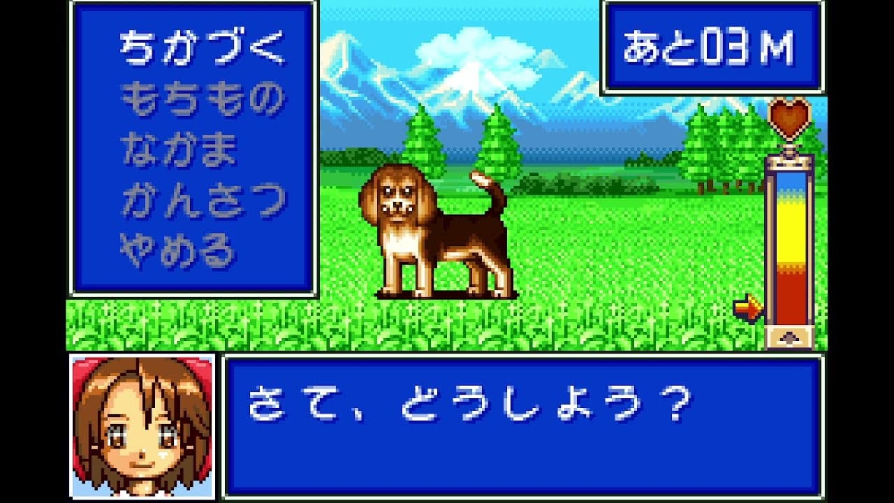 Kawaii Pet Shop Monogatari 3 trailer thumbnail