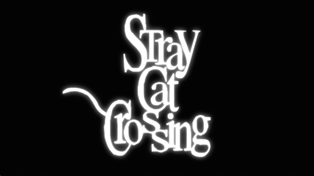 Stray Cat Crossing trailer thumbnail