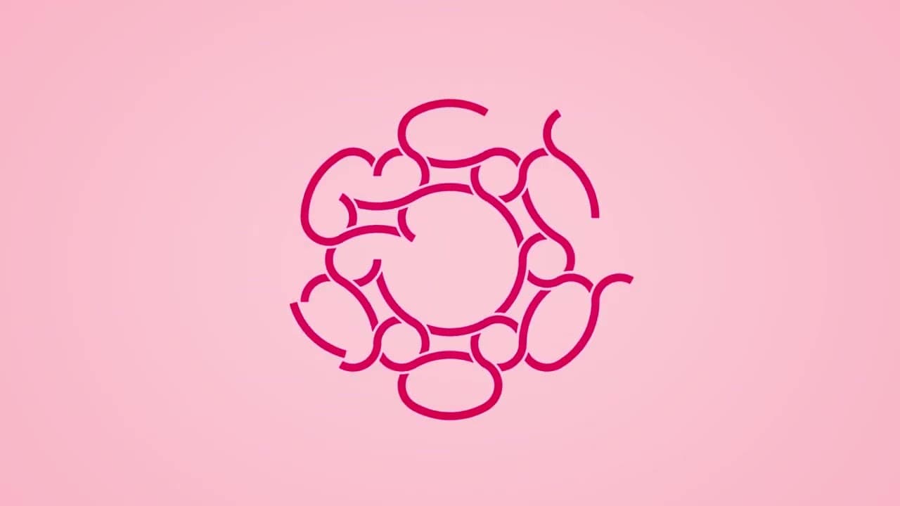 Hex trailer thumbnail