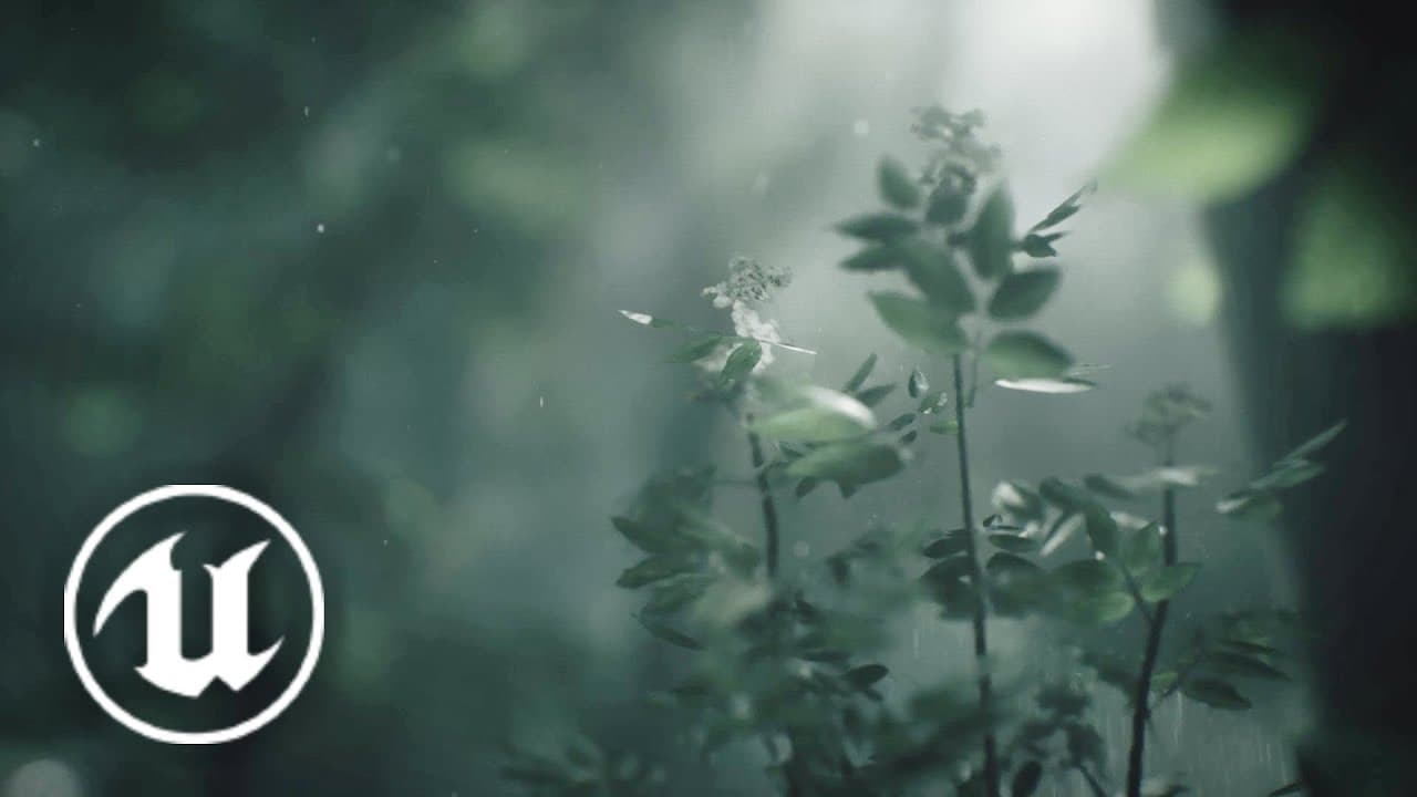 Wakamarina Valley, New Zealand trailer thumbnail