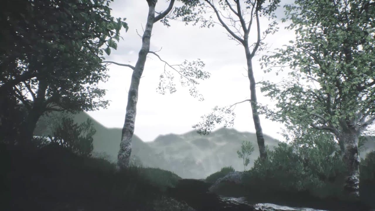 Scenic Forest Valley trailer thumbnail