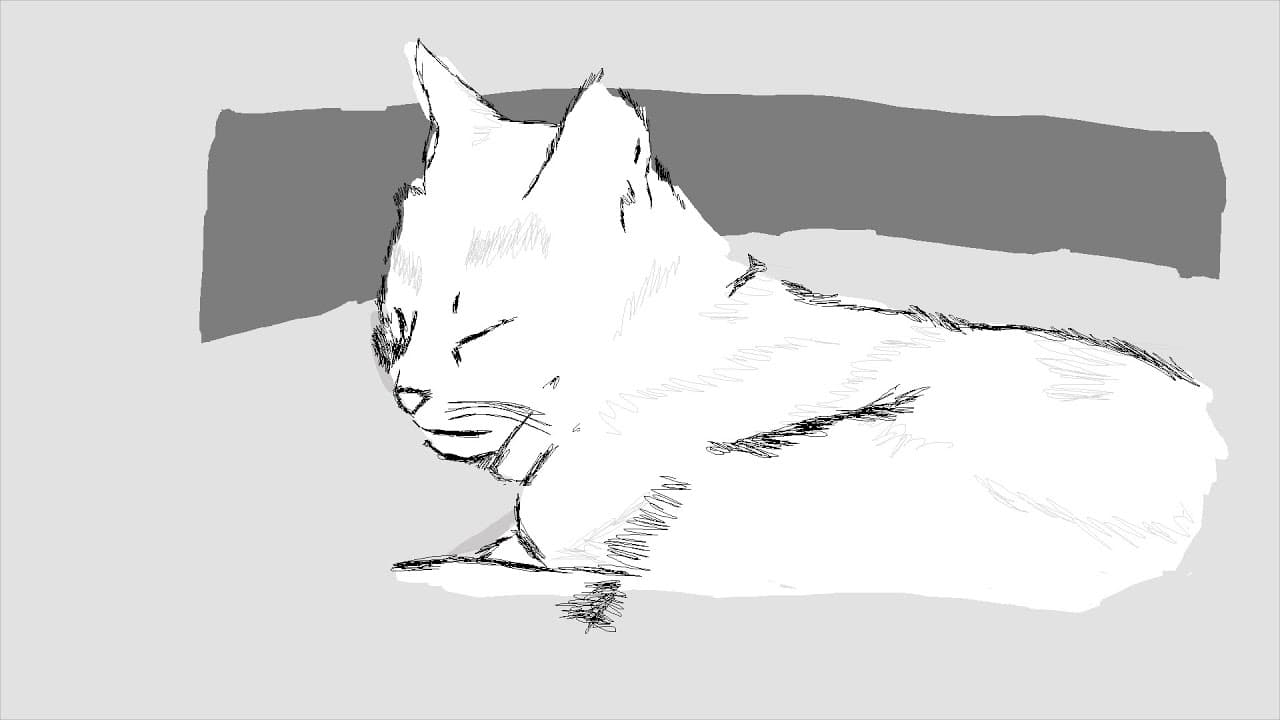 Boy with Cat trailer thumbnail