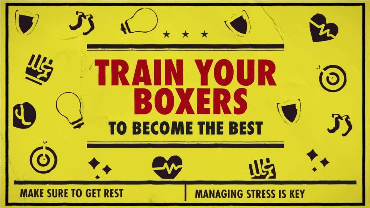 World Championship Boxing Manager 2 trailer thumbnail