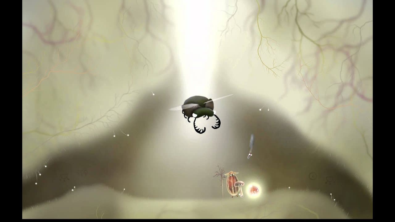 Botanicula: Collector's Edition trailer thumbnail