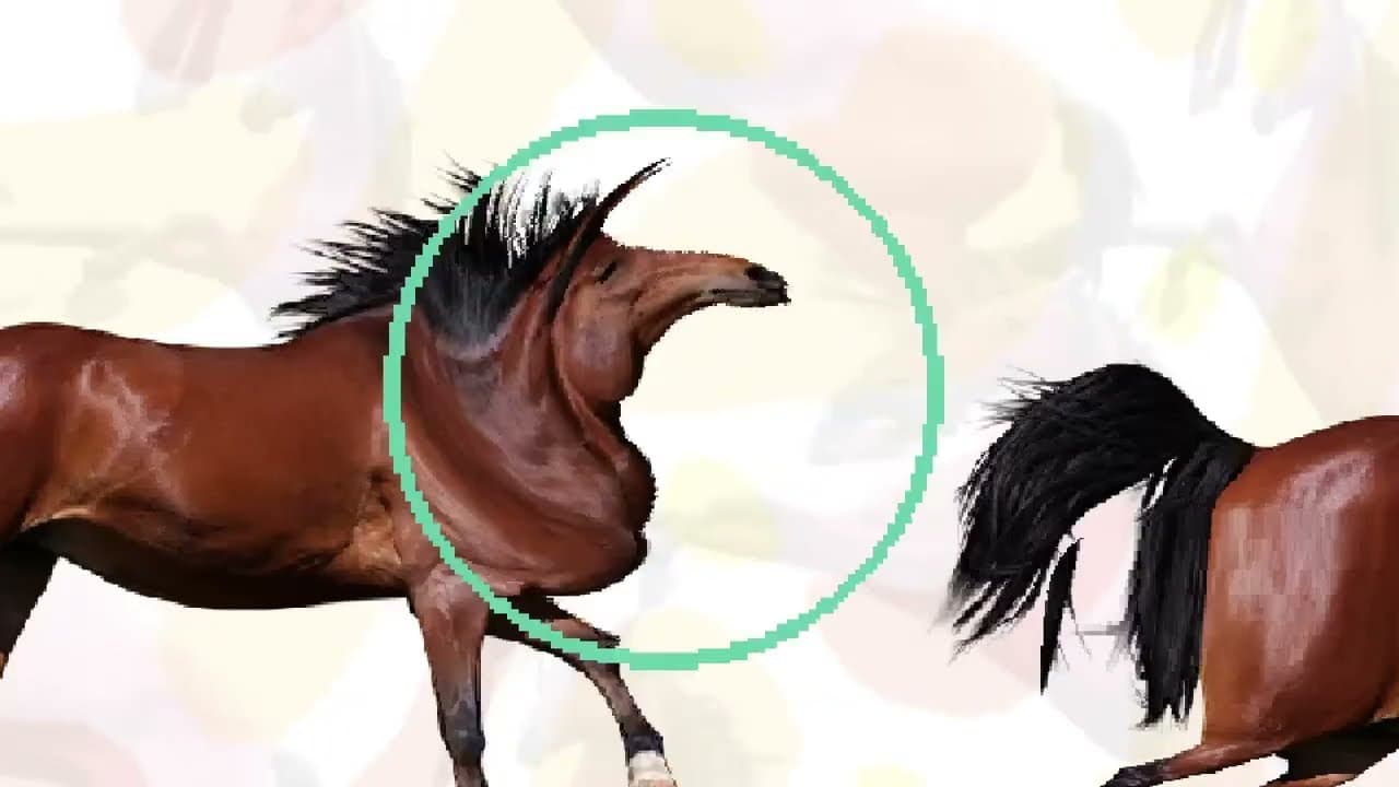 Horse Magnifier: The Full Horse trailer thumbnail