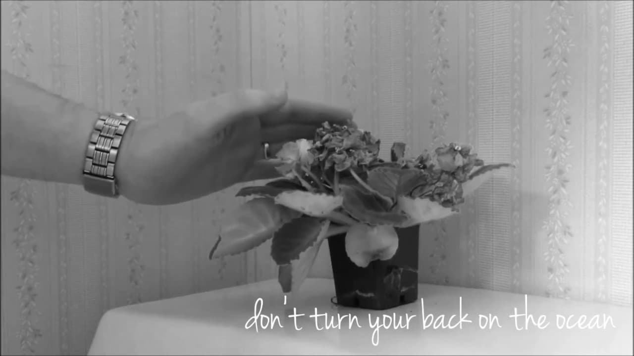 The Awkward Steve Duology trailer thumbnail