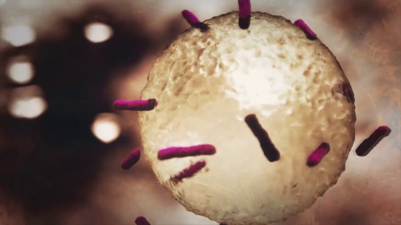 25 Cadre of Death trailer thumbnail