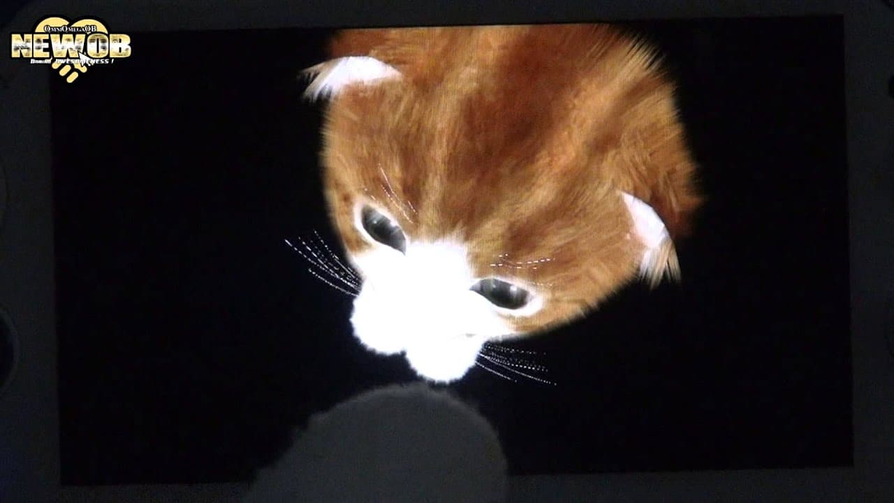 Aabs Animals trailer thumbnail