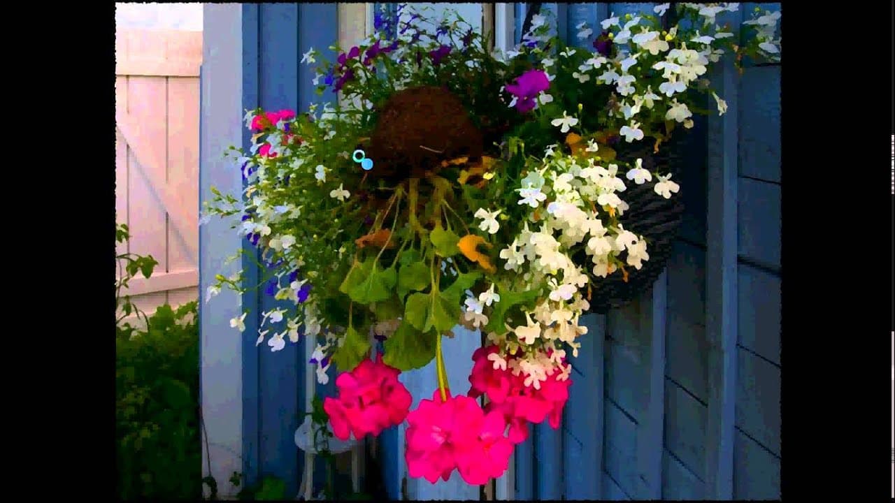 Black Circle trailer thumbnail