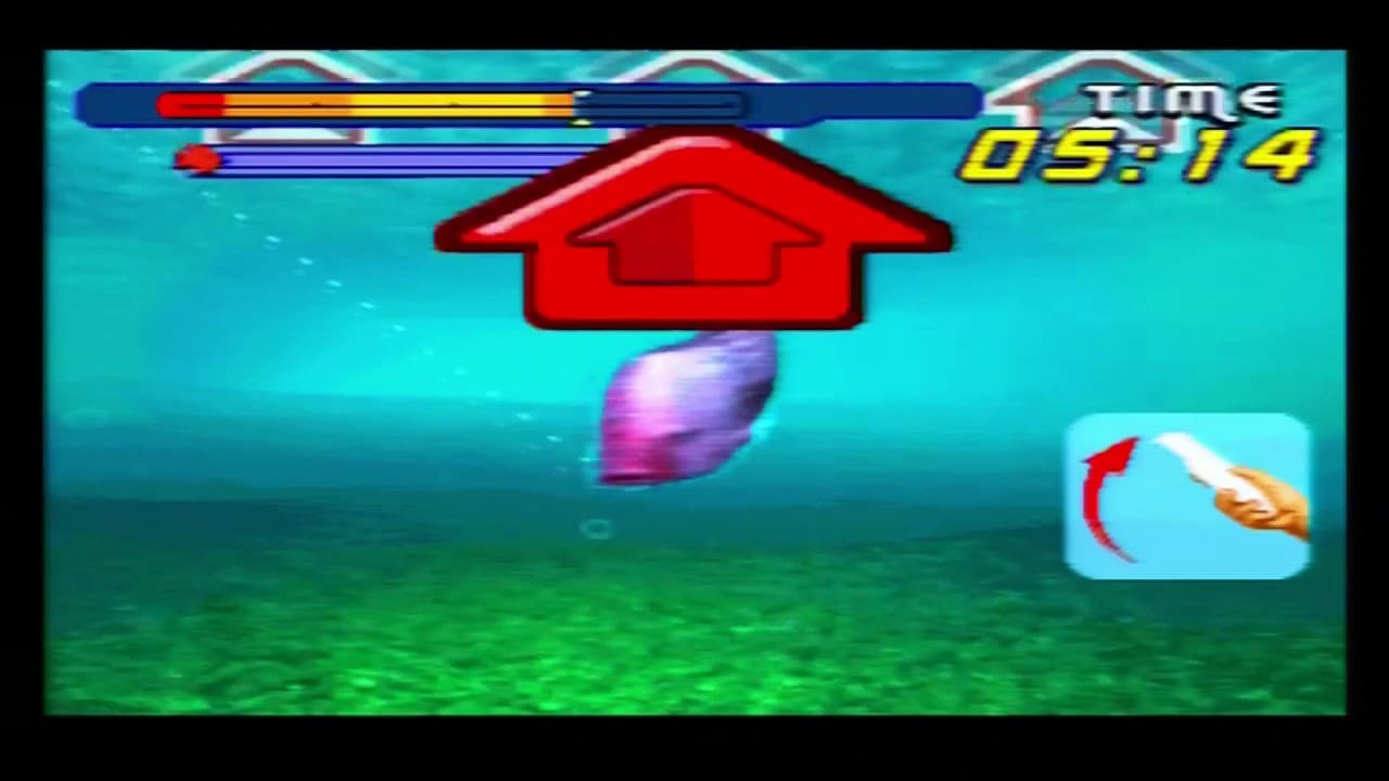 Catch Fish trailer thumbnail