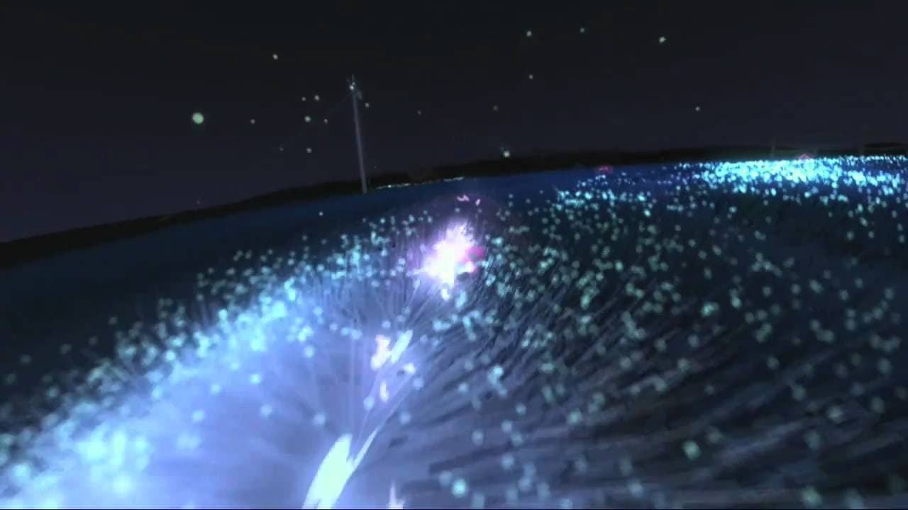 Flower trailer thumbnail