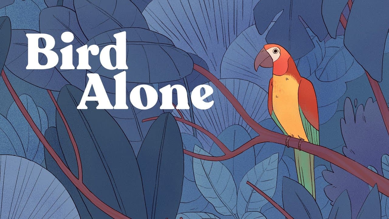 Bird Alone trailer thumbnail