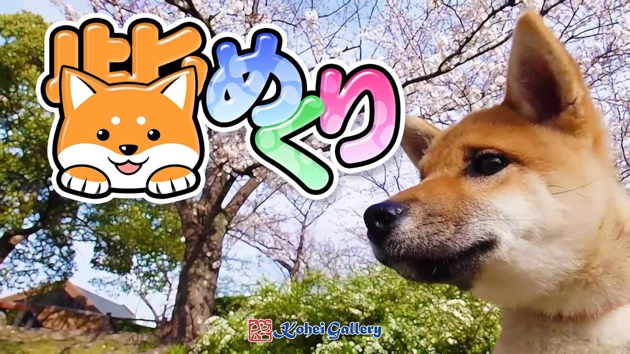 Shiba Mekuri trailer thumbnail