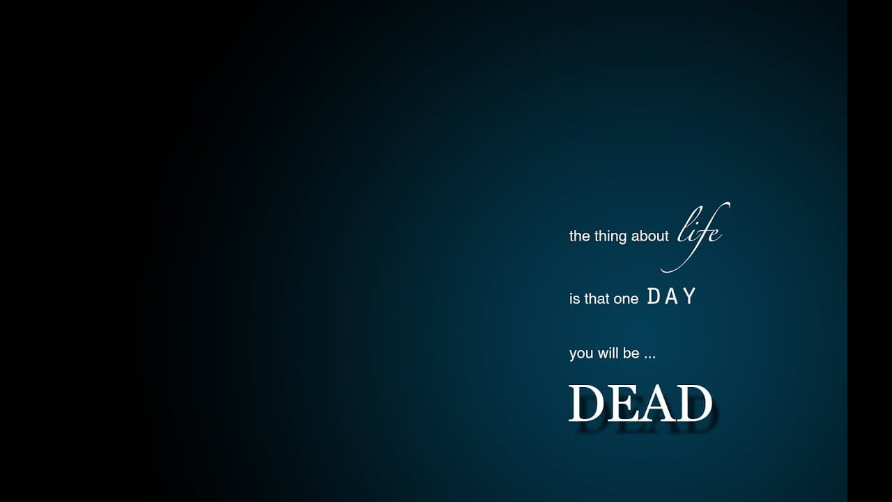 L.I.F.E. Simulator trailer thumbnail