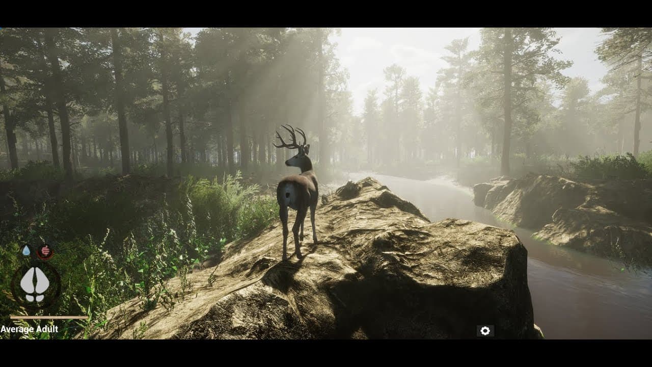 Untamed Kingdom trailer thumbnail