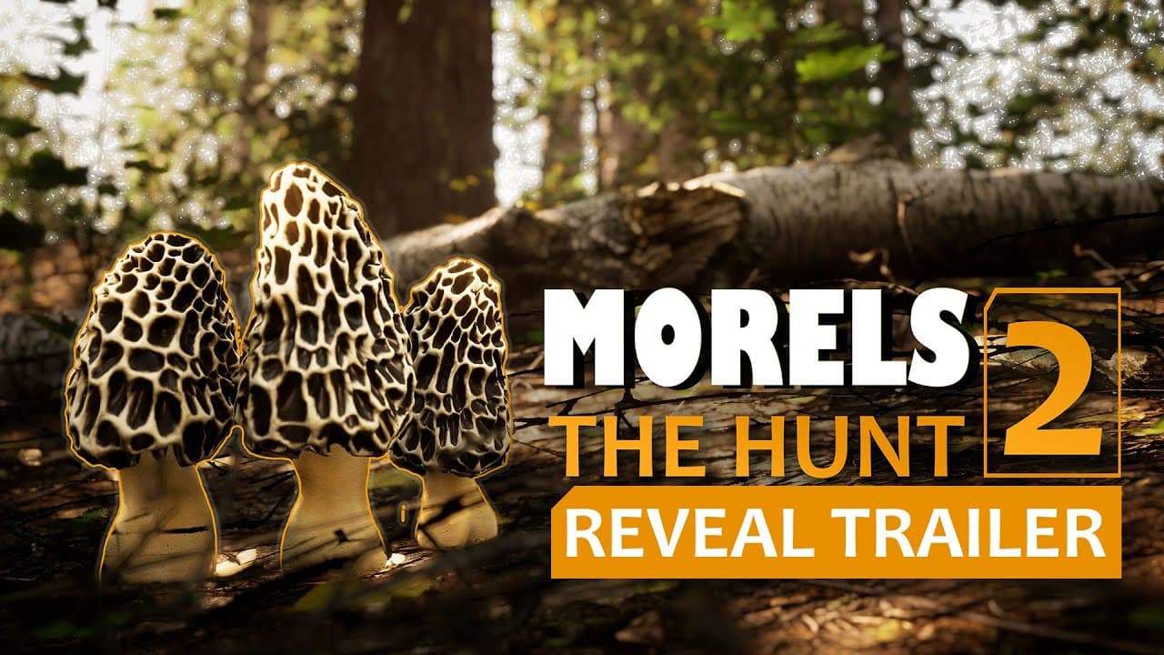 Morels: The Hunt 2 trailer thumbnail