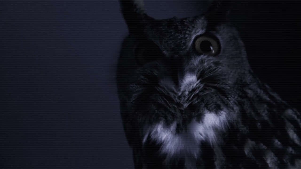 Helenland trailer thumbnail