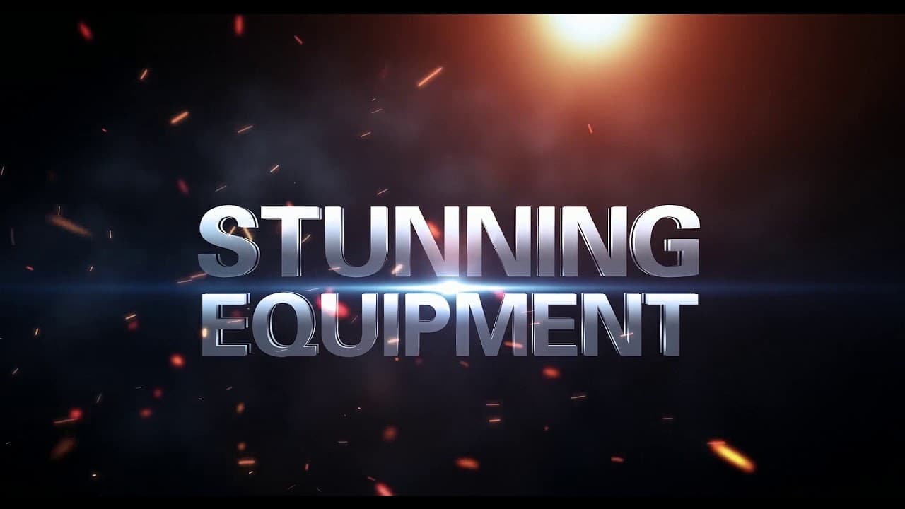 Legacy of Discord: Furious Wings trailer thumbnail