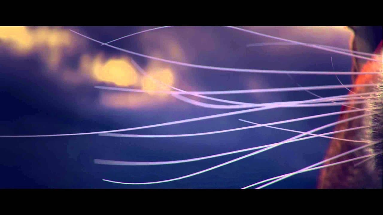 Trials Fusion: The Awesome Max Edition trailer thumbnail