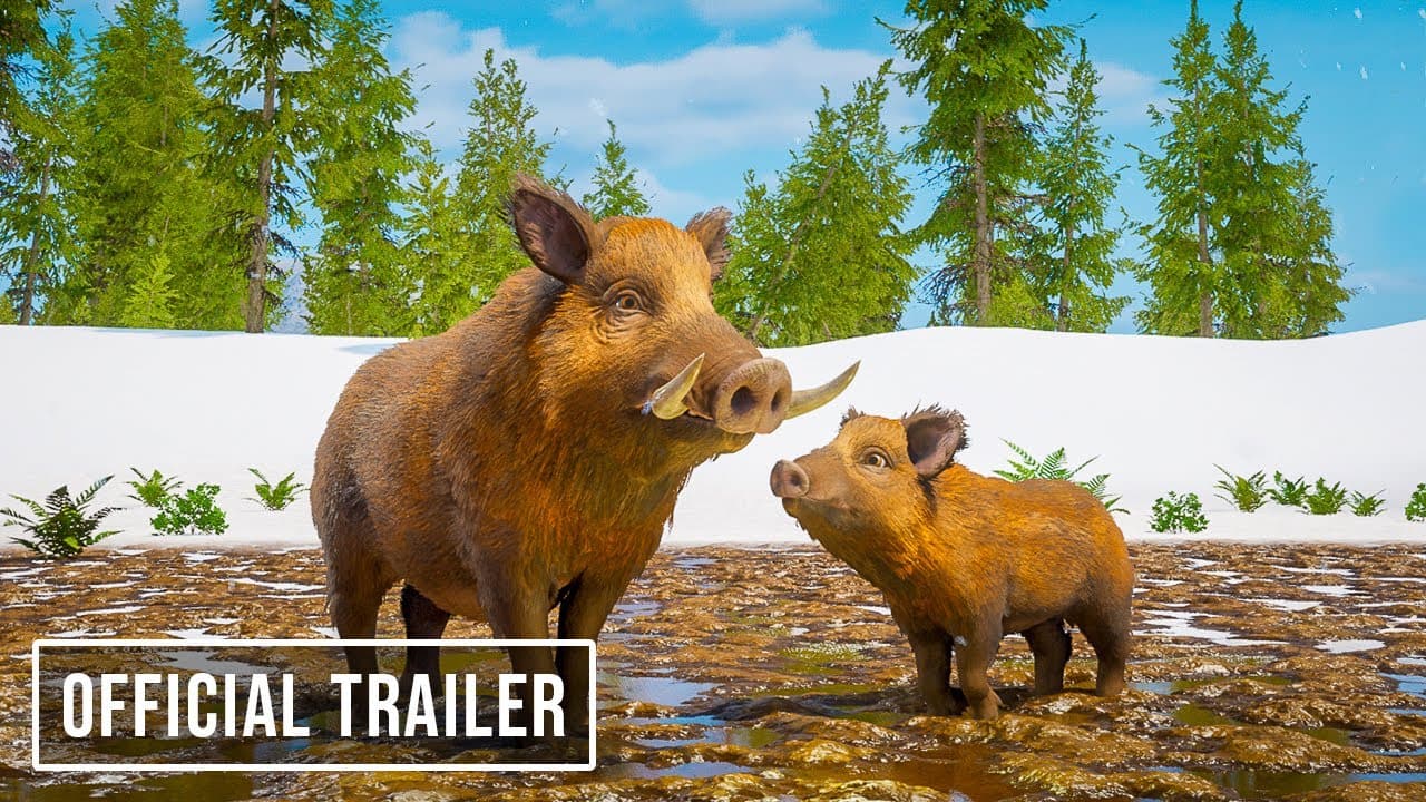 Wild Terrain trailer thumbnail