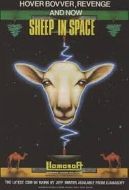 Sheep In Space cover art
