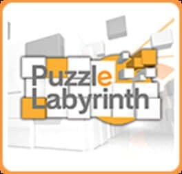 Puzzle Labyrinth cover art