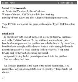 Sunset Over Savannah cover art