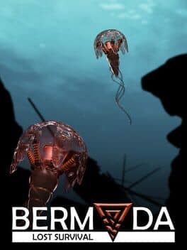 Bermuda: Lost Survival cover art