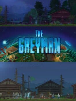 The Grey Man cover art