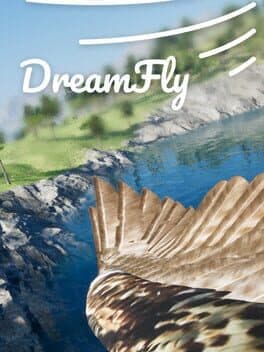 DreamFly cover art