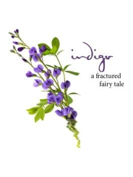 Indigo cover art