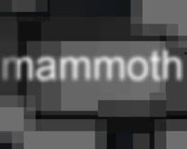 Mammoth cover art