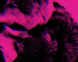 Wolfgirls in Love cover art