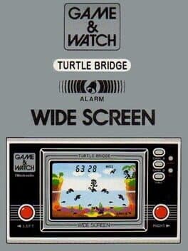 Turtle Bridge cover art